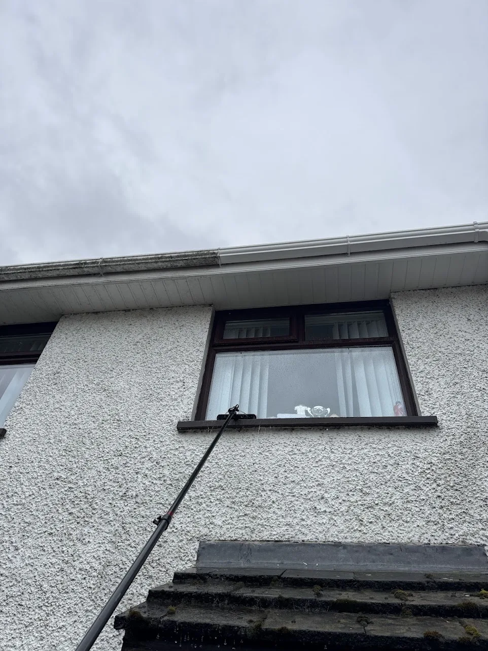 Washing the soffits and gutters from the ground with a long pole