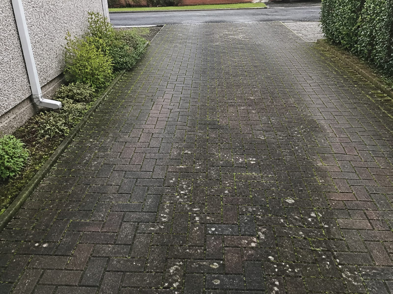 Block paving driveway covered in black algae, moss and weeds in the joints before cleaning