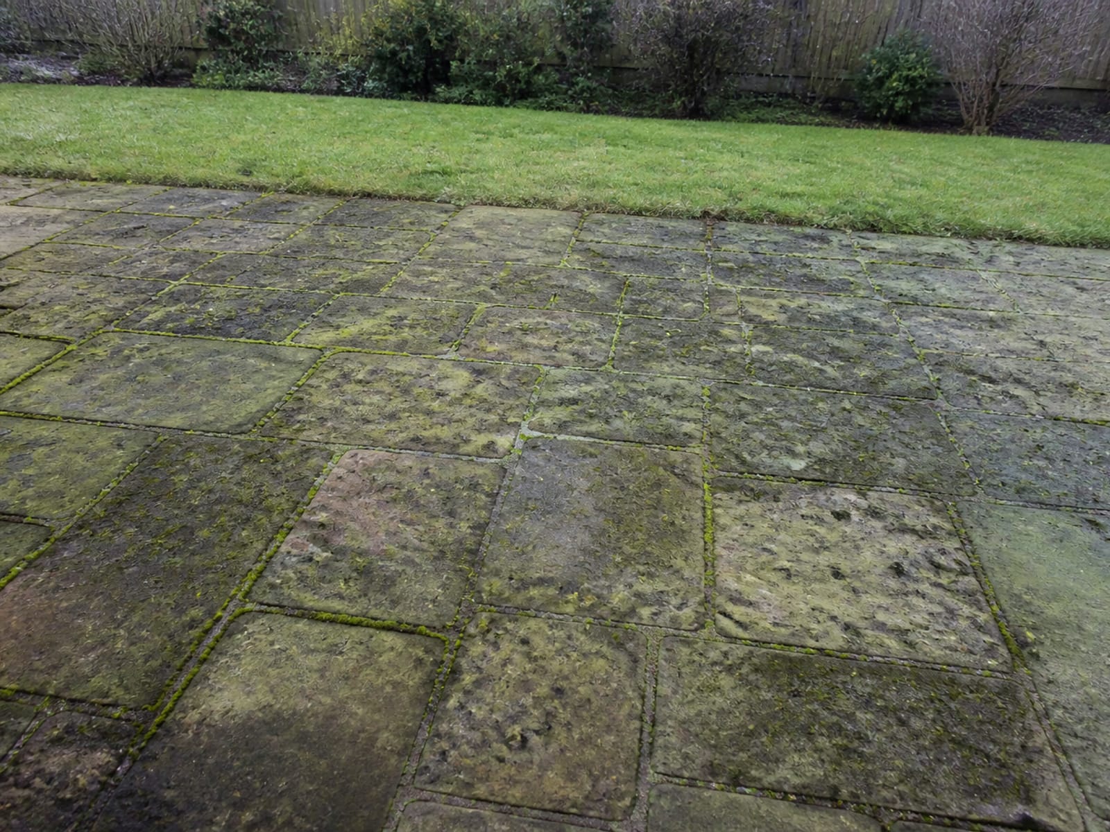 Indian sandstone patio green with algae and moss in the joints before cleaning